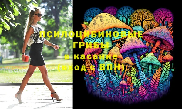 ГАЛЛЮЦИНОГЕННЫЕ ГРИБЫ Богородск
